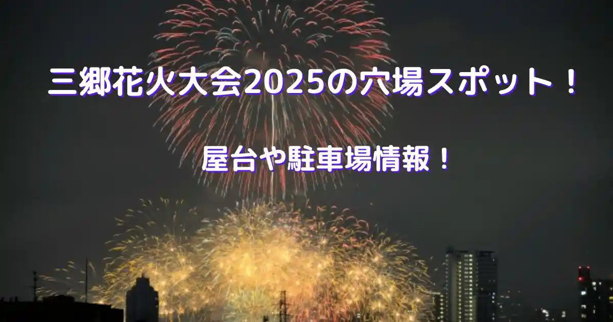 三郷花火大会