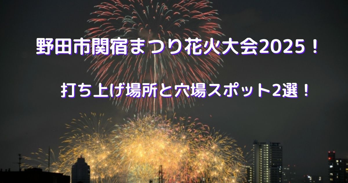 野田市関宿まつり花火大会