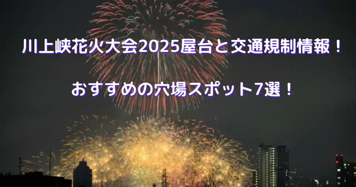 川上峡花火大会