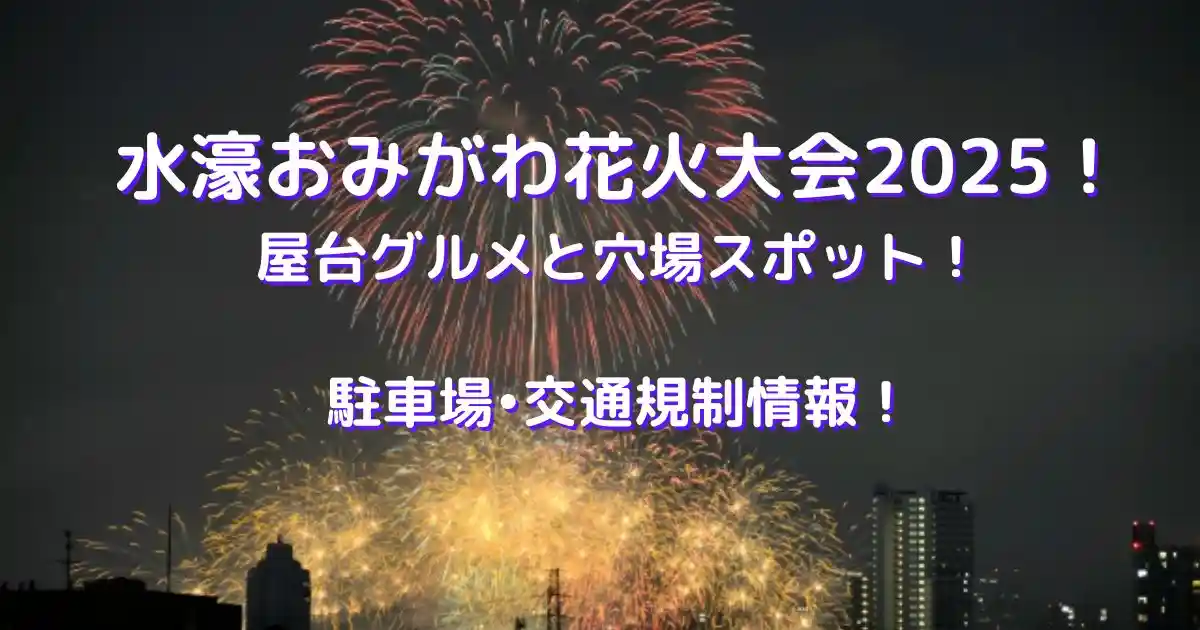 水郷おみがわ花火大会