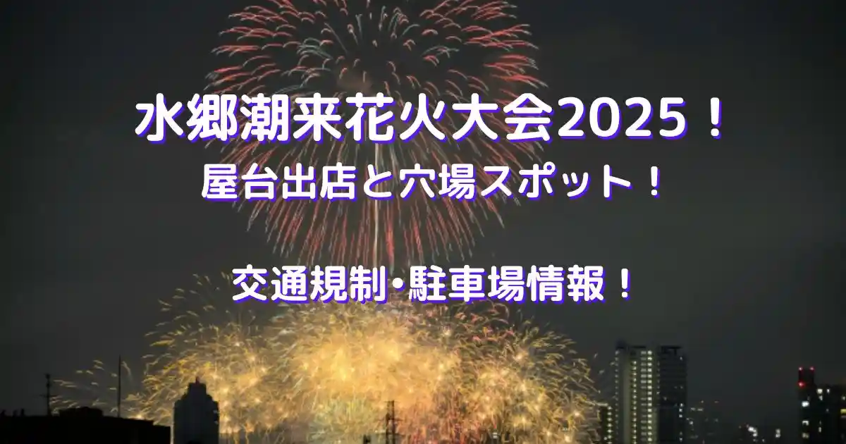 水郷潮来花火大会2025